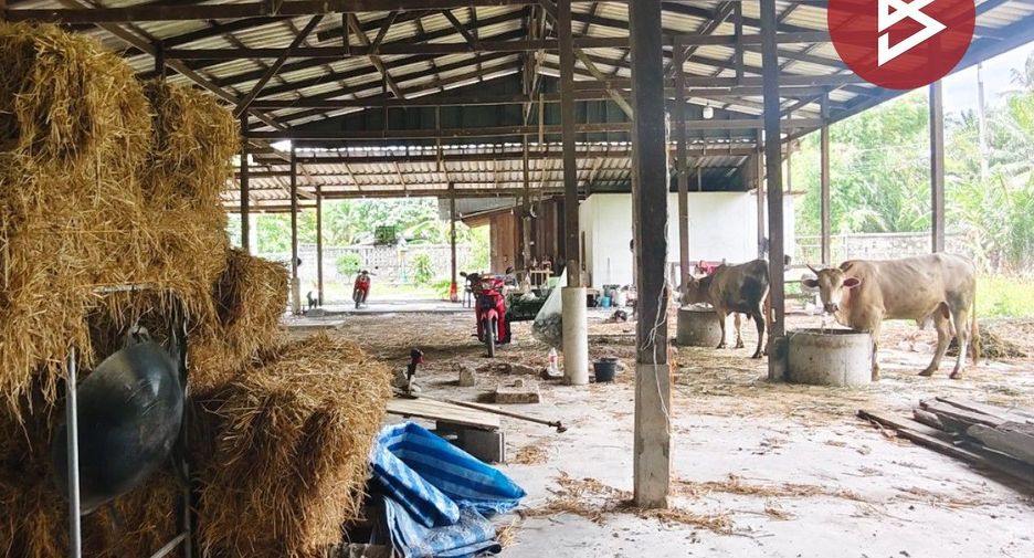 出售 土地 在 Hua Sai, Nakhon Si Thammarat