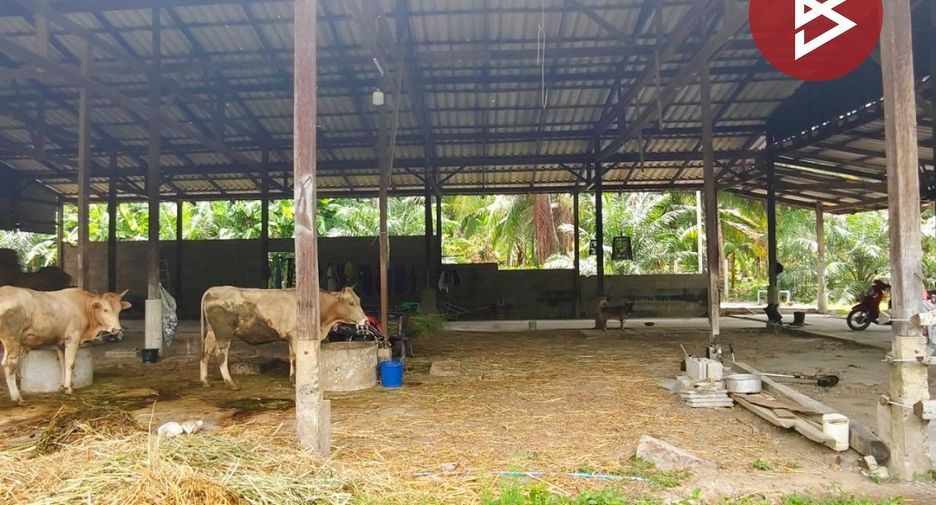 出售 土地 在 Hua Sai, Nakhon Si Thammarat