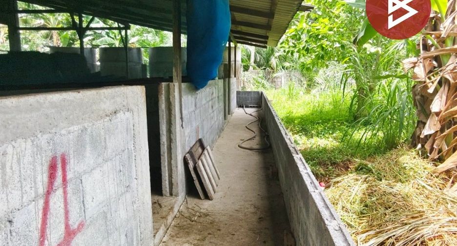 出售 土地 在 Hua Sai, Nakhon Si Thammarat