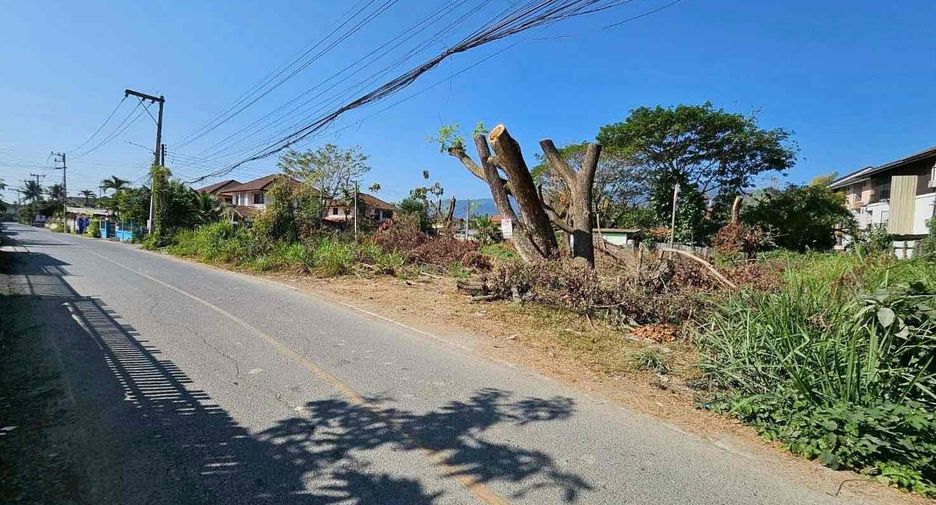 Grundstück zum Kauf in Mae Rim, Chiang Mai