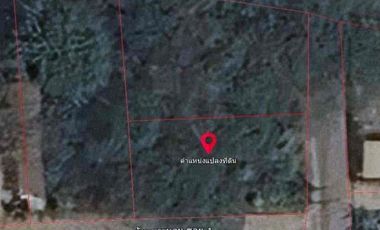 For sale land in Mae Rim, Chiang Mai