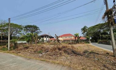 For sale land in Mae Rim, Chiang Mai
