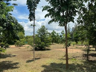 出售 土地 在 Phanat Nikhom, Chon Buri