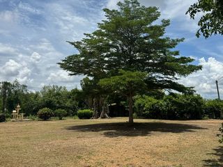 出售 土地 在 Phanat Nikhom, Chon Buri