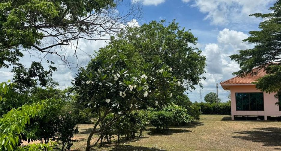 出售 土地 在 Phanat Nikhom, Chon Buri