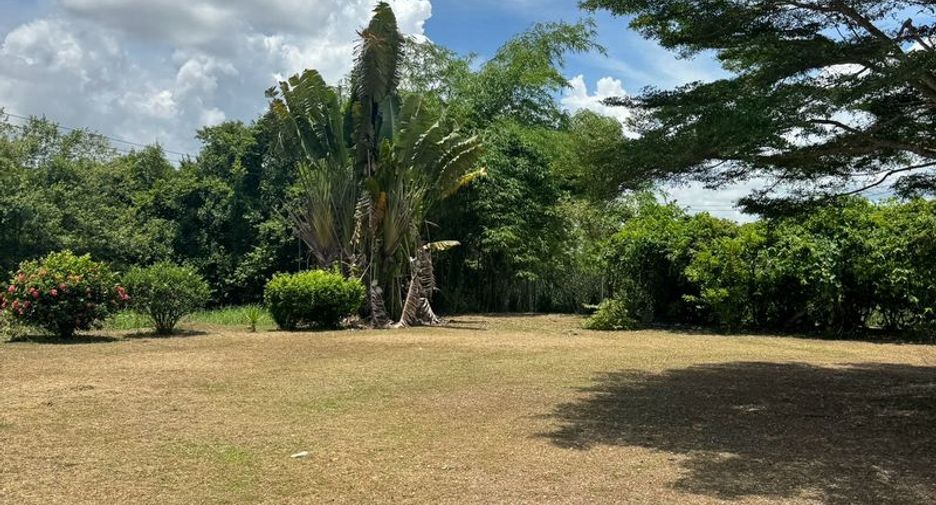 出售 土地 在 Phanat Nikhom, Chon Buri
