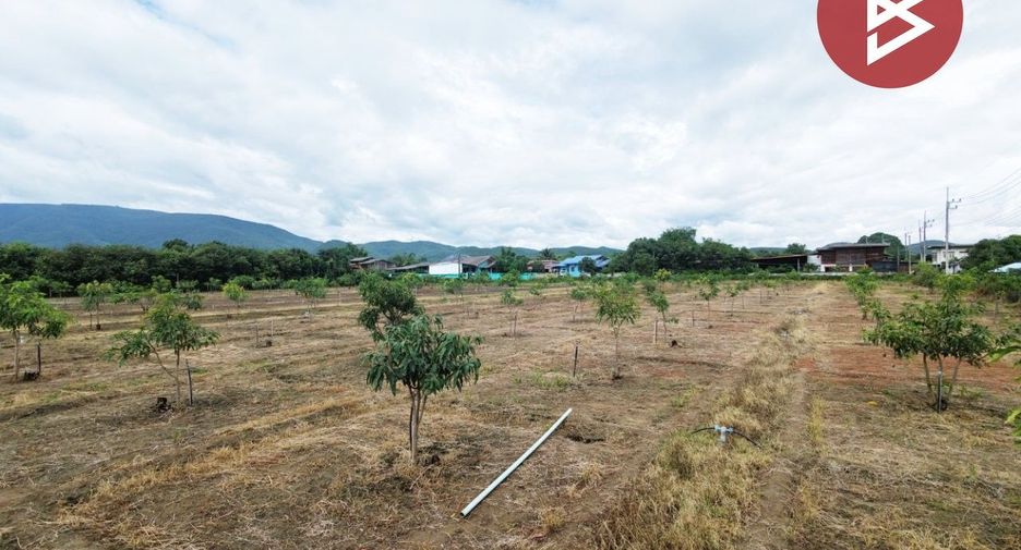 For sale land in Ban Hong, Lamphun