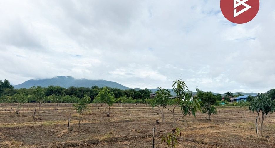 For sale land in Ban Hong, Lamphun