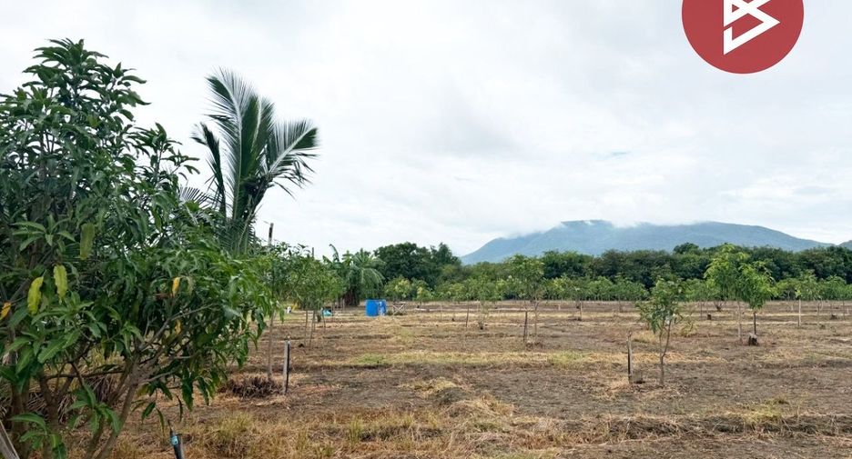 For sale land in Ban Hong, Lamphun