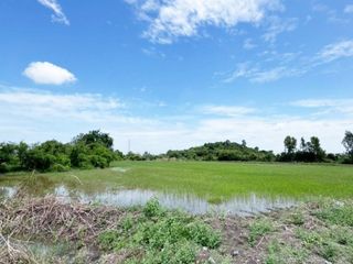 For sale land in Ban Mi, Lopburi