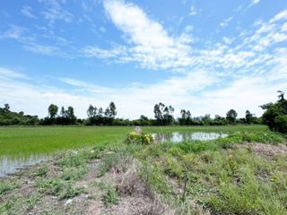 For sale land in Ban Mi, Lopburi