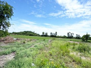 For sale land in Ban Mi, Lopburi