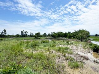 For sale land in Ban Mi, Lopburi