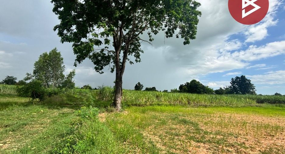 For sale land in Phu Khiao, Chaiyaphum