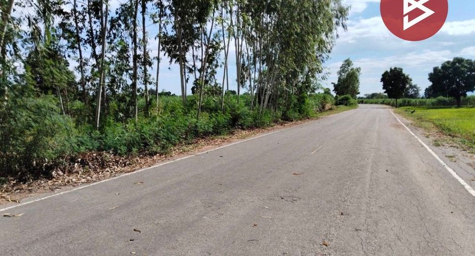 For sale land in Phu Khiao, Chaiyaphum