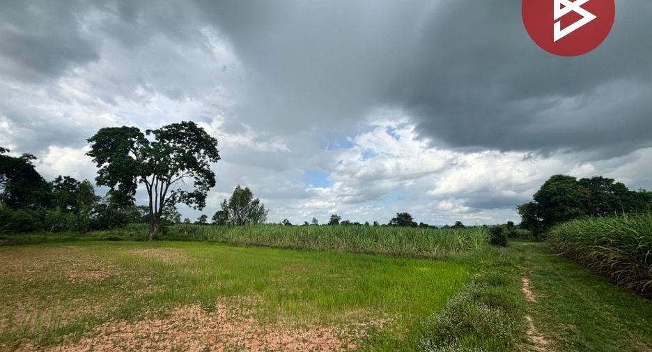 For sale land in Phu Khiao, Chaiyaphum