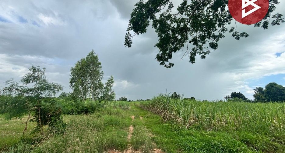 For sale land in Phu Khiao, Chaiyaphum