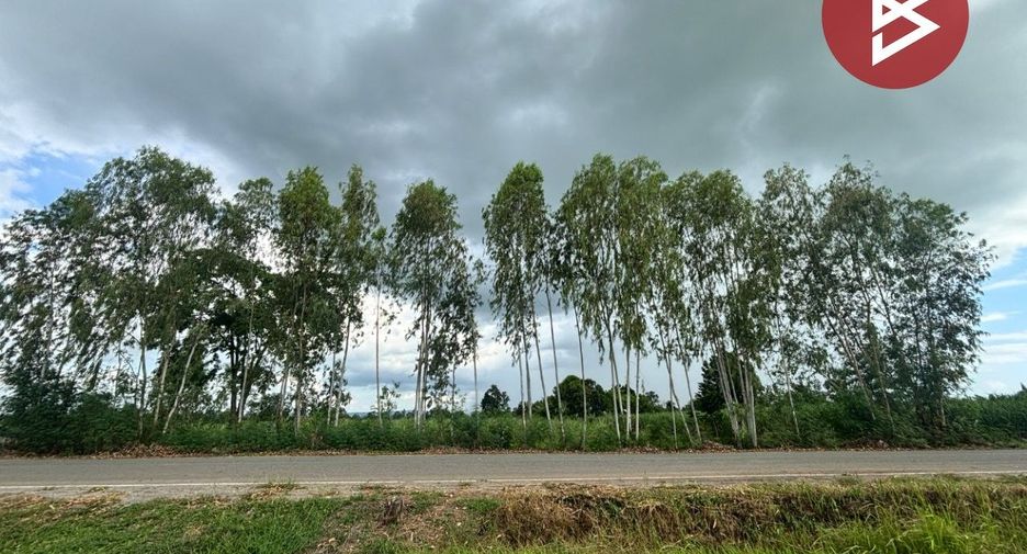 For sale land in Phu Khiao, Chaiyaphum