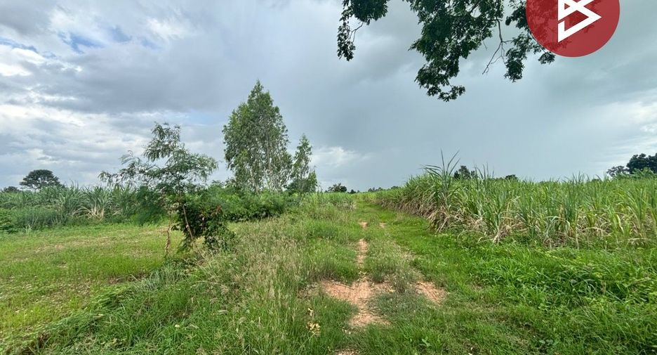 For sale land in Phu Khiao, Chaiyaphum