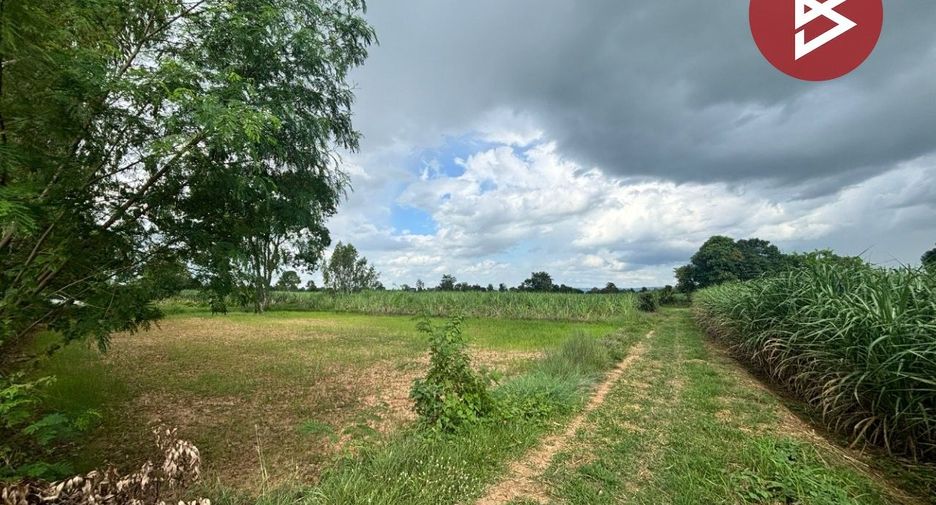 For sale land in Phu Khiao, Chaiyaphum