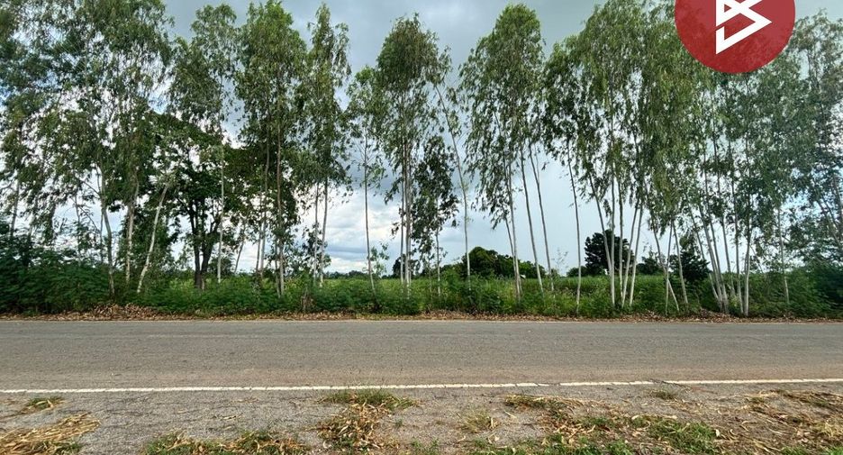 For sale land in Phu Khiao, Chaiyaphum
