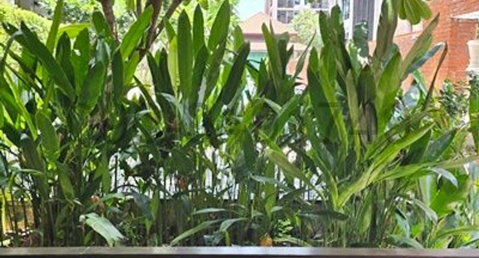 For rent 1 bed condo in Bueng Kum, Bangkok
