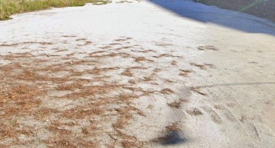 For sale land in Ban Chang, Rayong