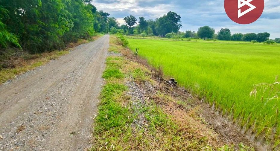 À vendre terrain à Tha Tako, Nakhon Sawan