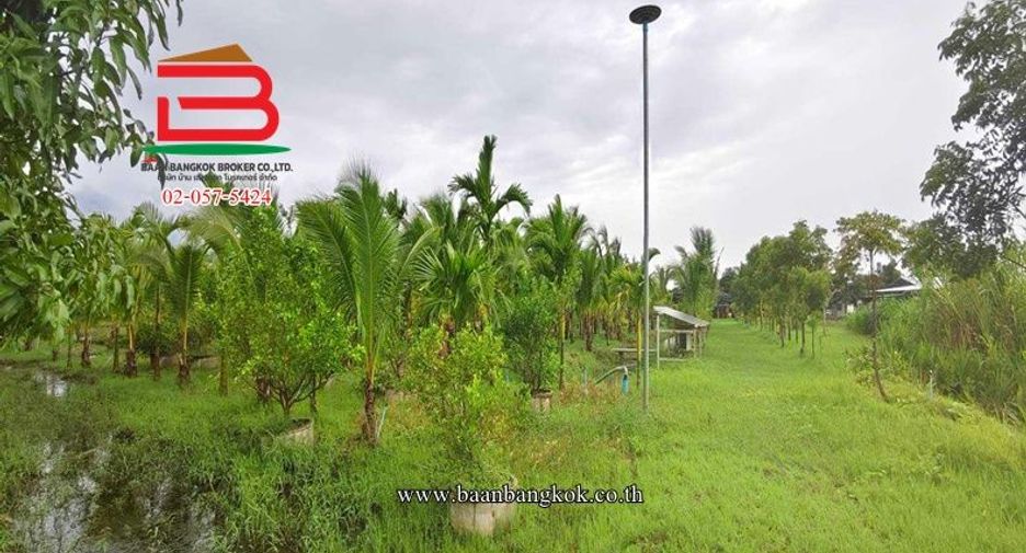 Terreno en venta en Kamphaeng Saen, Nakhon Pathom