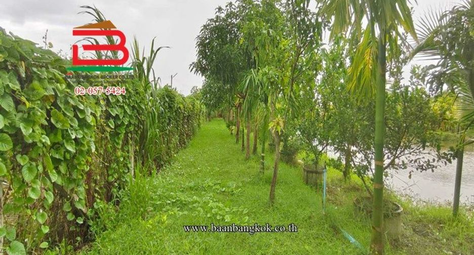 Terreno en venta en Kamphaeng Saen, Nakhon Pathom