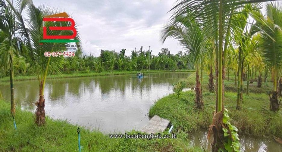 Terreno en venta en Kamphaeng Saen, Nakhon Pathom