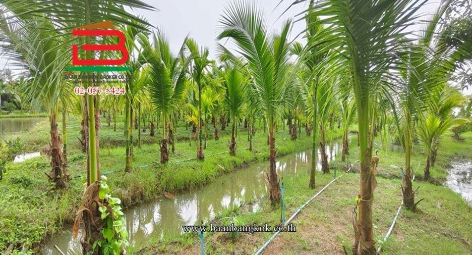 Terreno en venta en Kamphaeng Saen, Nakhon Pathom