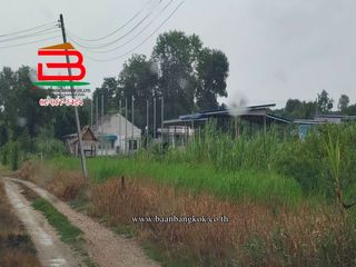 Terreno en venta en Kamphaeng Saen, Nakhon Pathom