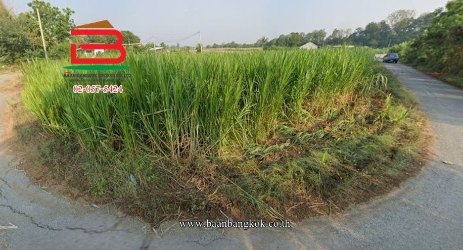 Terreno en venta en Kamphaeng Saen, Nakhon Pathom