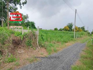 Terreno en venta en Kamphaeng Saen, Nakhon Pathom