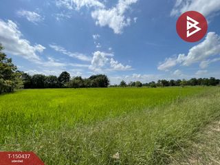 Grundstück zum Kauf in Ban Phai, Khon Kaen