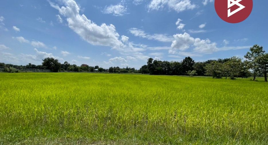 Grundstück zum Kauf in Ban Phai, Khon Kaen