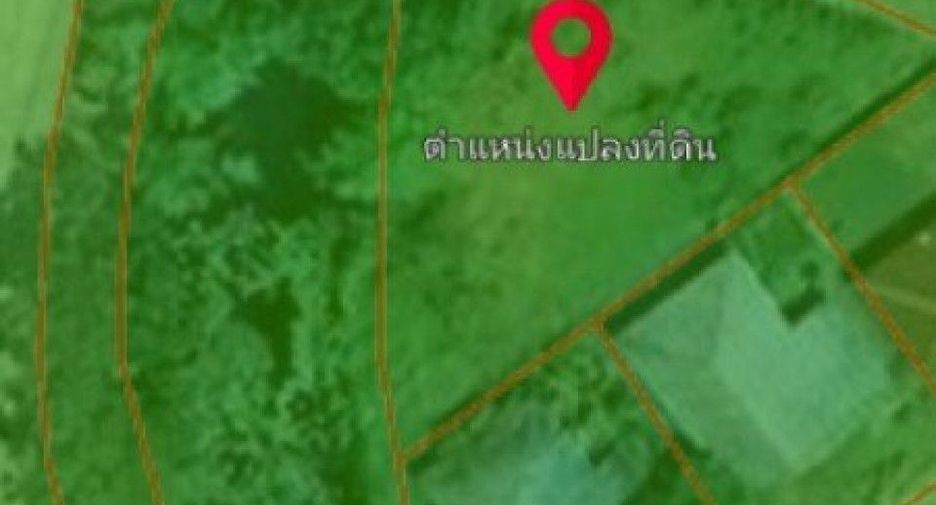 Grundstück zum Kauf in Ongkharak, Nakhon Nayok