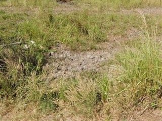 For sale land in Lam Luk Ka, Pathum Thani