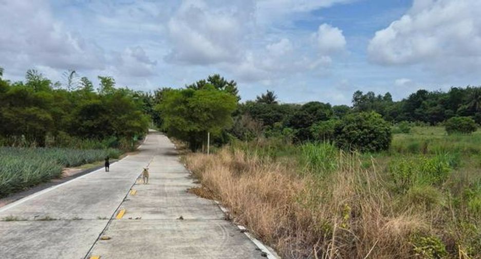 For sale land in Pluak Daeng, Rayong