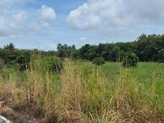 For sale land in Pluak Daeng, Rayong