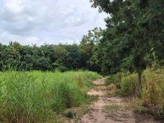 For sale land in Pluak Daeng, Rayong