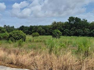 For sale land in Pluak Daeng, Rayong