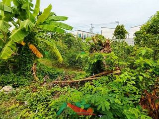 Grundstück zum Kauf in Bang Kruai, Nonthaburi