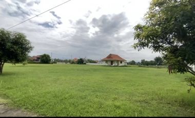 出售 土地 在 Doi Saket, Chiang Mai