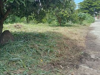 For sale land in Phutthamonthon, Nakhon Pathom
