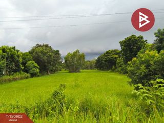 Продажа Участок в Thawat Buri, Roi Et
