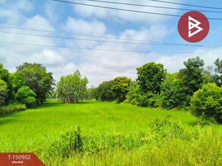 Продажа Участок в Thawat Buri, Roi Et