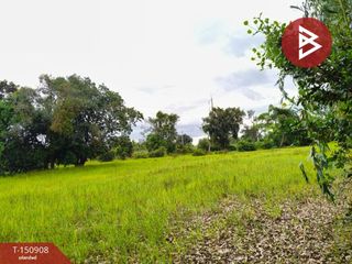 Продажа Участок в Thawat Buri, Roi Et