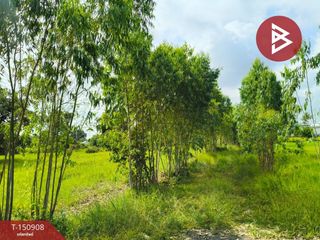 Продажа Участок в Thawat Buri, Roi Et